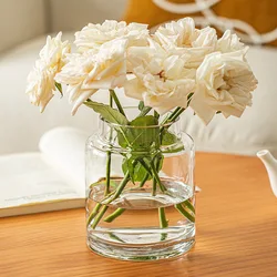 Rose Large Diameter Vase Decoration Living Room Flower Arrangement Glass Transparent Water Culture Hydroponics Wide Mouth Short