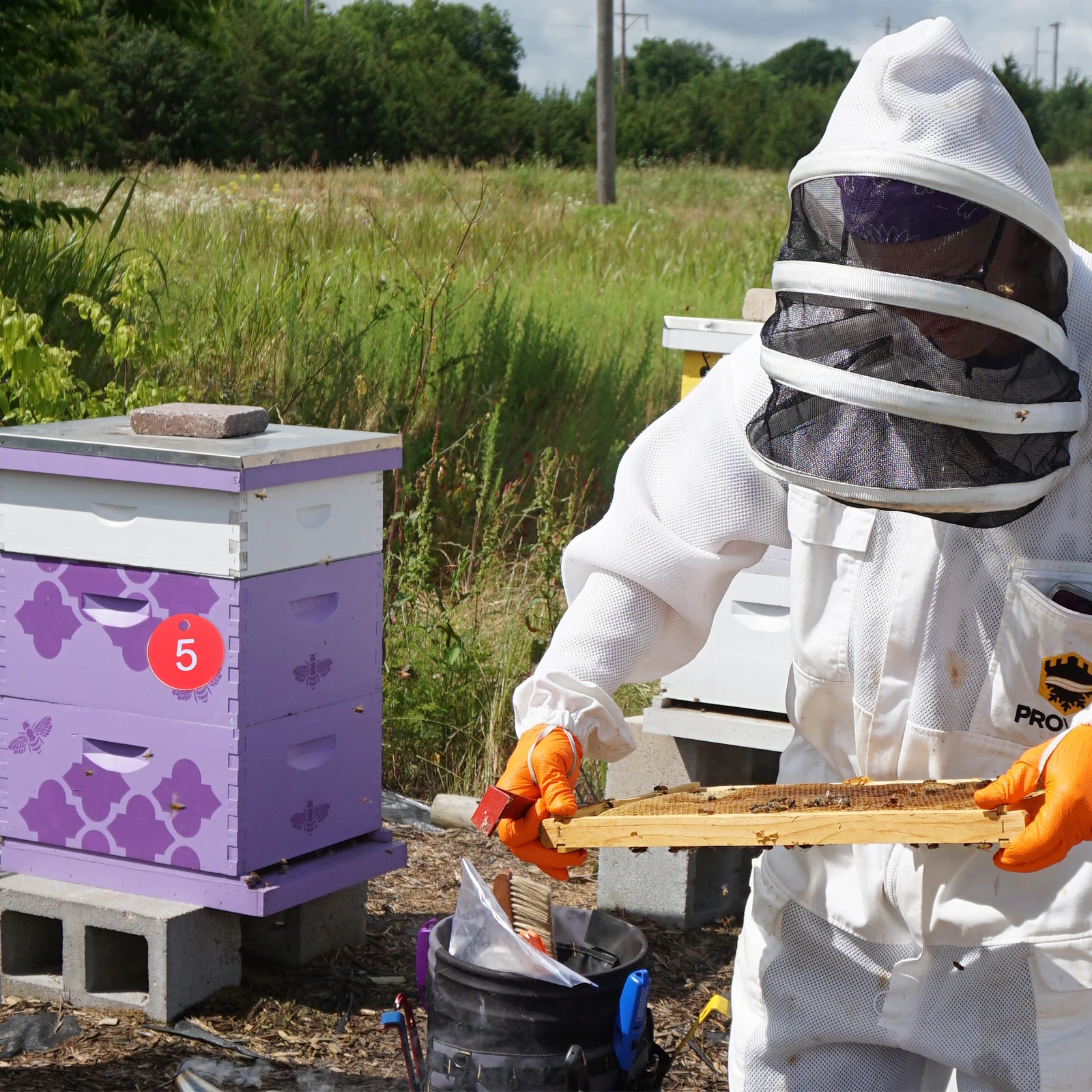 

20Pcs Beehive Number Mark Durable Plastic Tags Easy to Use Lightweight Portable Non Fading Color 0-20 Identification Management