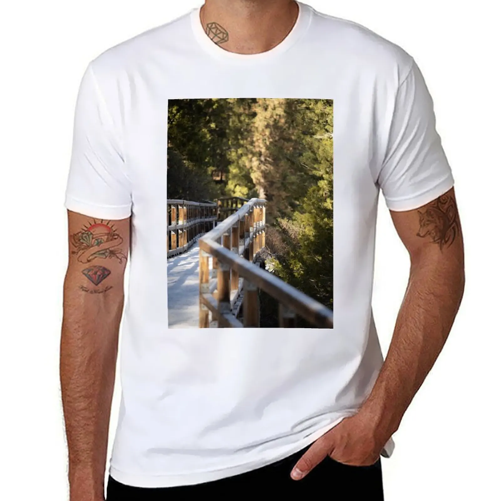 Snowy Bridge By Hum…