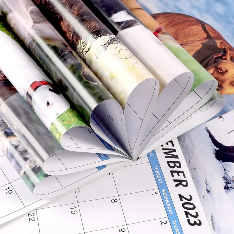 1 PCS 2024 Wall Calendar-2024 Calendar 12 Monthly Pooping Dogs Calendar 2024 Funny Gag Gifts