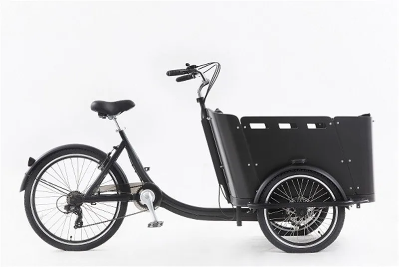 Electric Pedal 3 Wheels Cargo Bike With 250W Rear Motor For Carrying Kids Or Pets