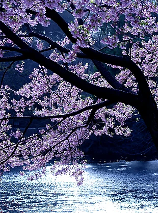 

M3/M4/M5 Контргайки Адаптер реквизита 2204 Бесщеточный двигатель Пулевая крышка Быстроразъемный ключ Ручка двигателя Плоскогубцы Инструмент для отвертки RC Quadcopter