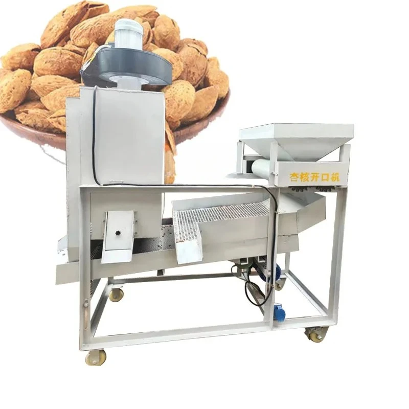 Automatic Pine Nut Sheller Kernel Separator | China Origin Pine Nut Peeling Machine with Core Motor Assembly