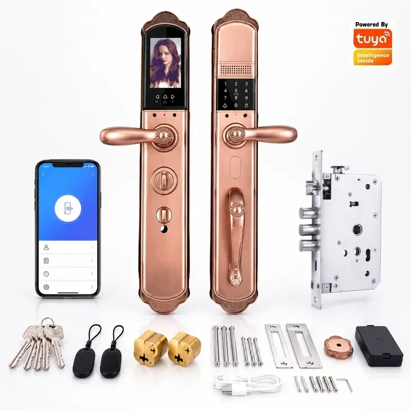 European Automatic Villa Gate Lock Facial Recognition Fingerprint Passcode Unlock Tuya Wifi Remote Control Smart Home Door Lock