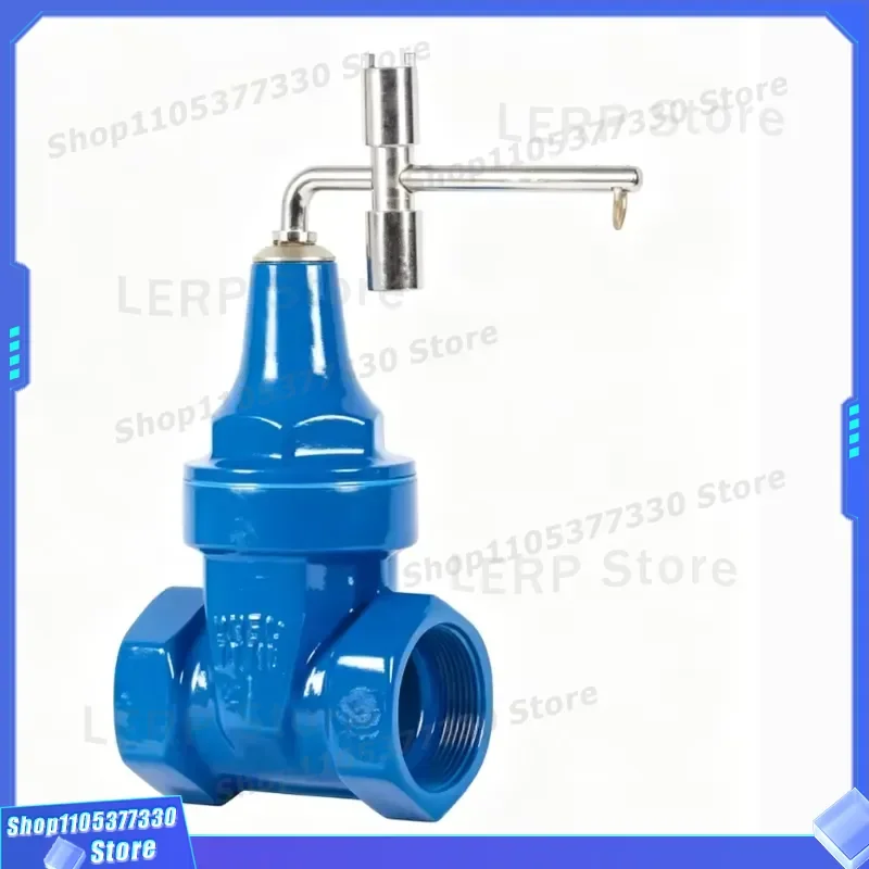 Manual Soft Seal Gate Valve 1/2in to 2in PN10 Threaded Connection with Anti Theft Encryption Lock OEM Service Available for