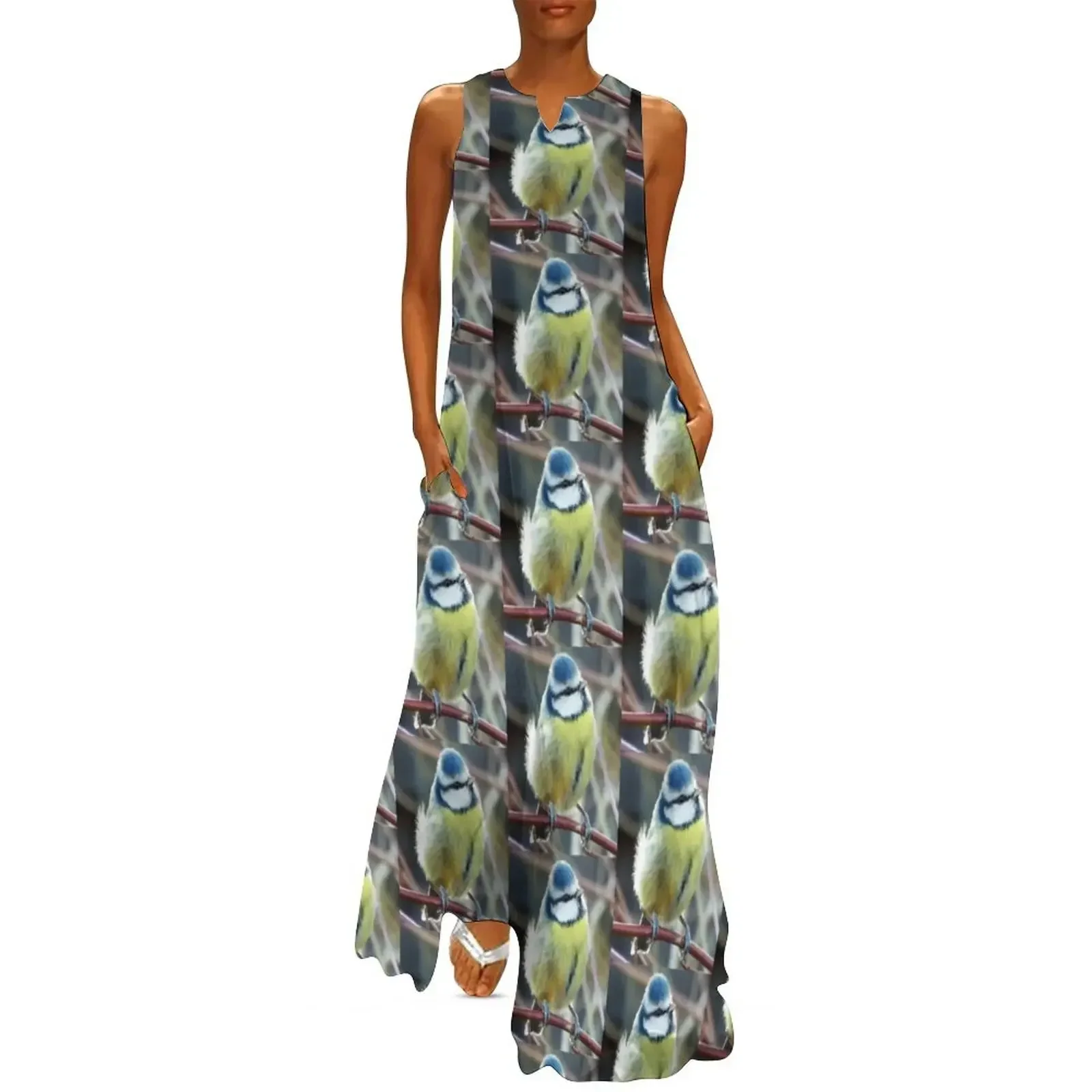 

Beautiful Blue Tit cutest bird garden lovers delight and dream Long Dress Female dress Dress