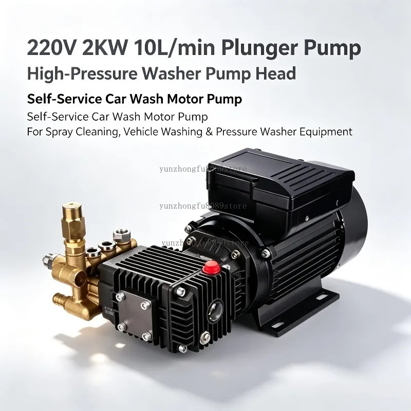 220V 2KW 10L/min Plunger Pump, High-Pressure Washer Pump Head, Self-Service Car Wash Motor Pump for Spray Use