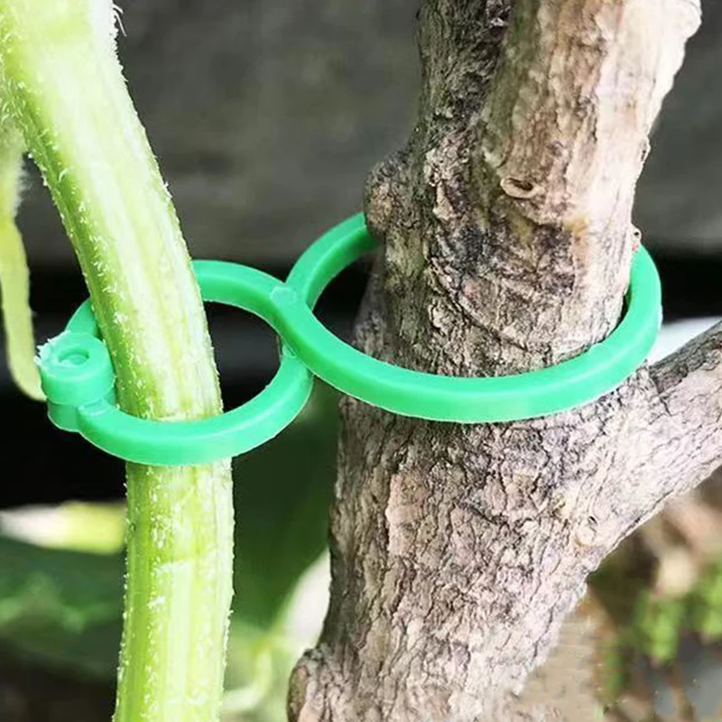 Horticultural 8-shaped Buckle Climbing Vine Tomato Cucumber Binding 8-shaped Buckle Plant Fixing Buckle Gourd Garden Access