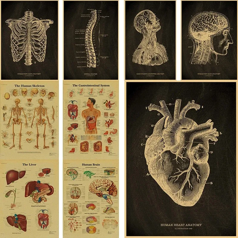 Anatomical Skeleton Chalkboard Posters Kraft Paper Posters Vintage Home  Medicine Student Decor Medical Art Wall Painting Poste