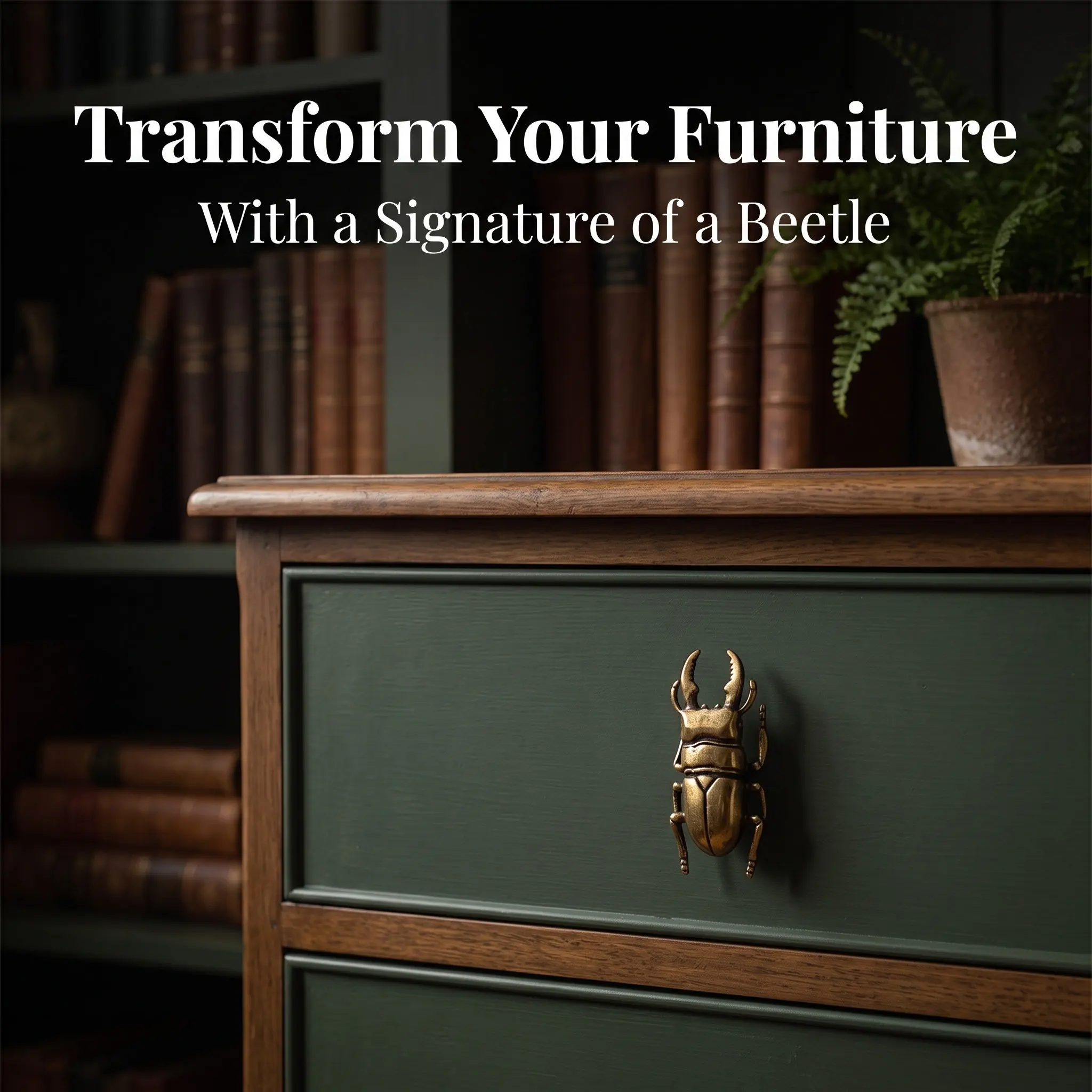 Beetle Cabinets Handles Brass Knobs Door Furniture Animal Pulls Drawer Dresser