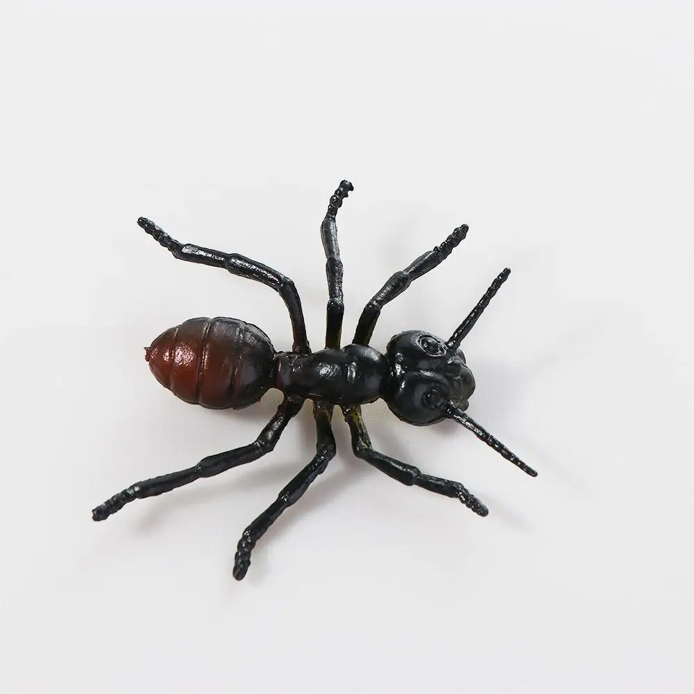 

Gift Spider Figures Beetle Cockroach Fake Insect Animal Insect Toys Insect Model Realistic Insect Figurine Simulation Insect