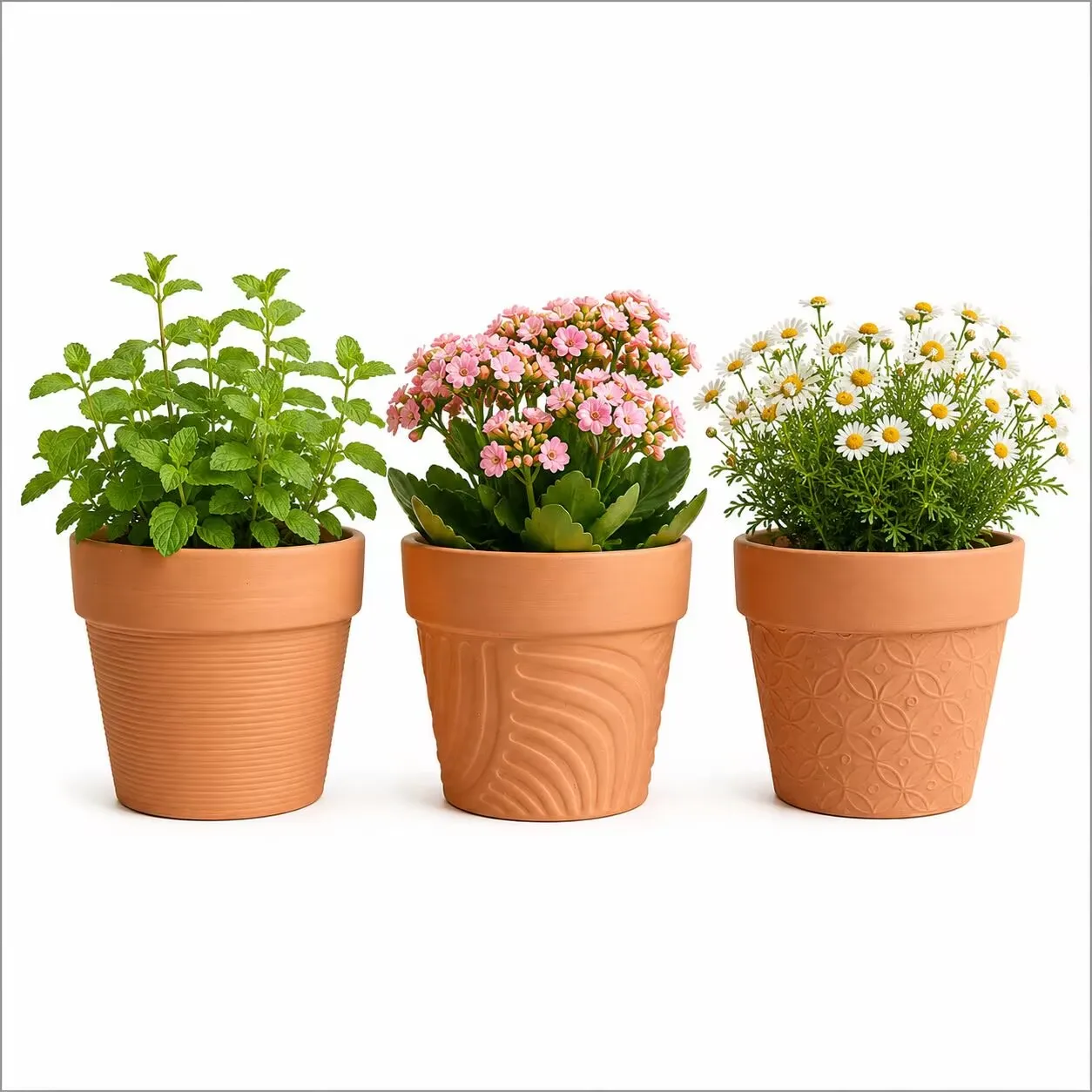 3-Pack 4.5 inch Embossed Terracotta Pots with 3 Different Patterns,Red Clay Planters for Succulents, Green Plants, Orchids Pot