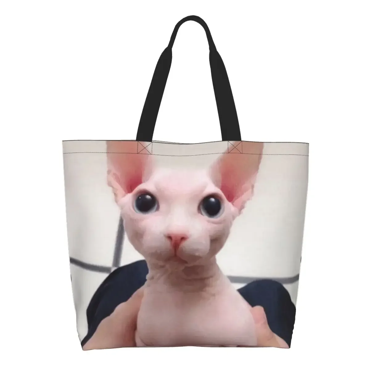 All Hail Bingus Groceries Shopping Tote Bags Women Cute Sphynx Cat Meme Canvas Shoulder Shopper Bags Large Capacity Handbag