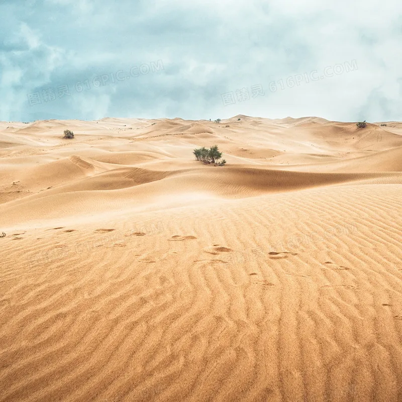 

7-в-1 Гидромашина для ухода за кожей лица Ультразвуковое омоложение Дермабразия Гипербарическое кислородное устройство для лица для глубокого очищения