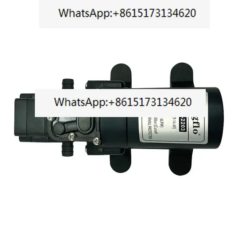 2 pieces Singflo FLO-2202 small handheld water motor pump price / 12 volt water pumps for sale