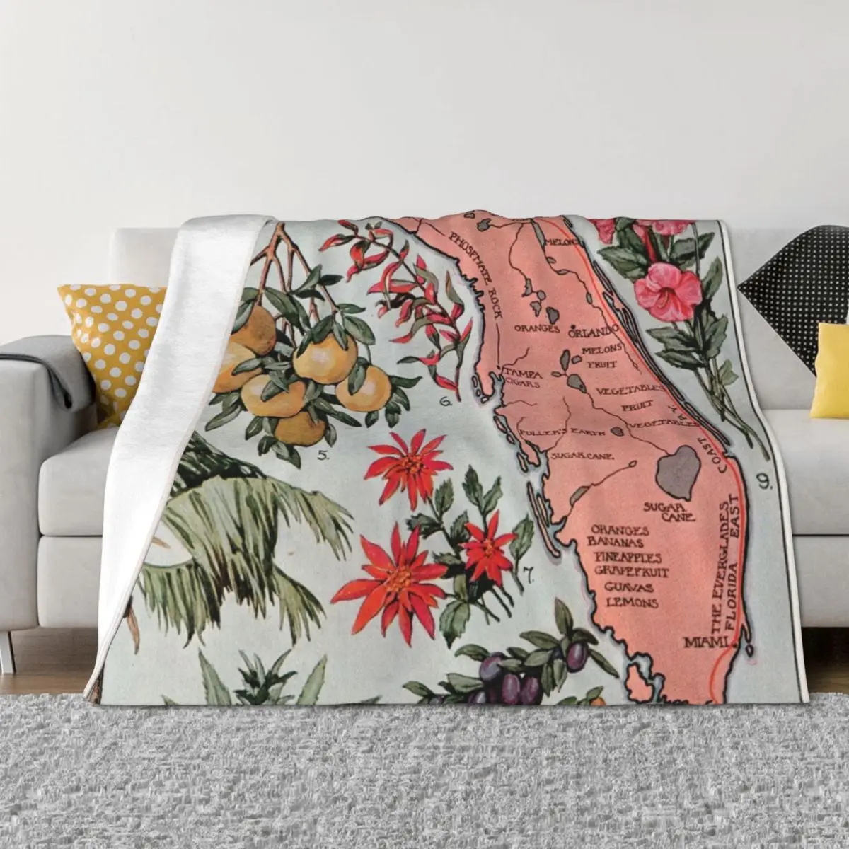 

antique Map of Florida (1917) Throw Blanket warm winter Decorative Sofa Quilt heavy to sleep Blankets