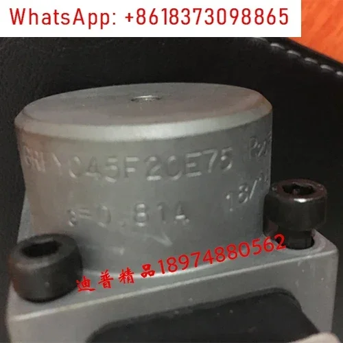 Elektromagnet GRFY045F20 MSM 2044487 GAAY035F GRF45B 035 E08 4-A 060
