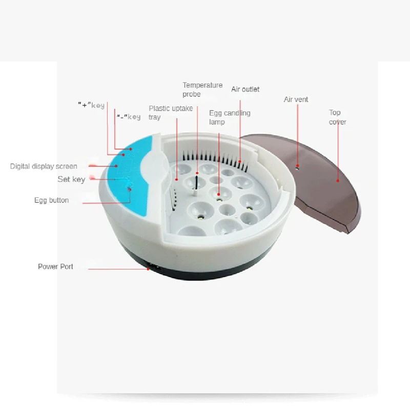 Egg Incubator Egg Bird Incubator 9 Pieces Of Small Household Egg Bird Incubator EU Plug