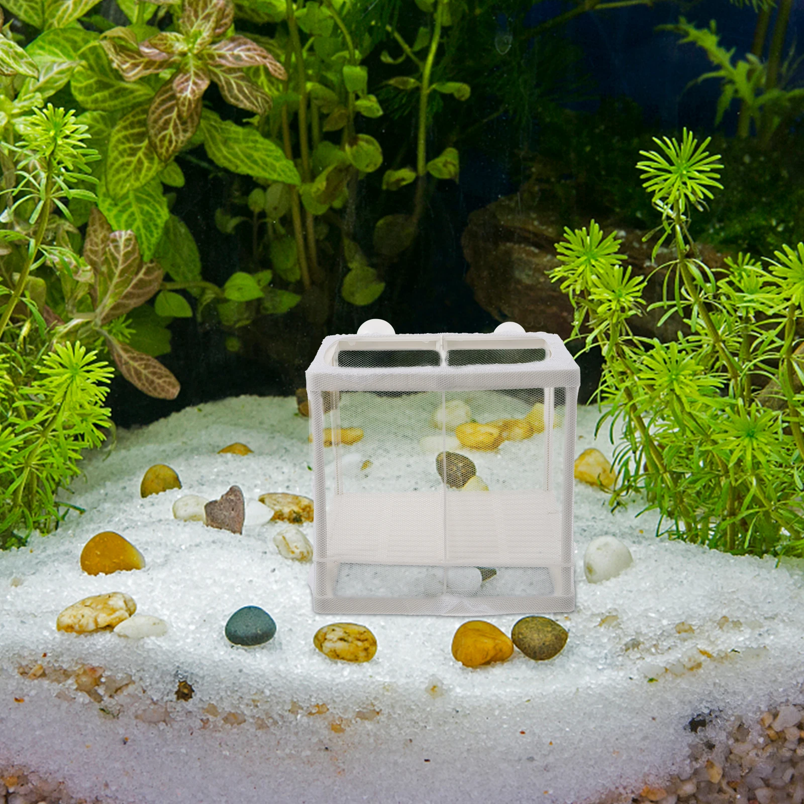 

2Pcs Fish Tank Isolation Net Breeder Box Aquarium Fry Incubator Nursery Polyester Mesh For Small Pregnant Newborn Fish Shrimp