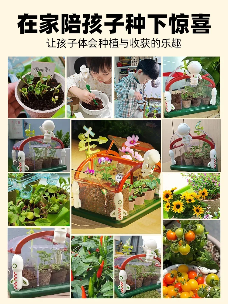 Sunshine room planting children's science experiment plant growth observation box June Day gift vegetable planting toy girl