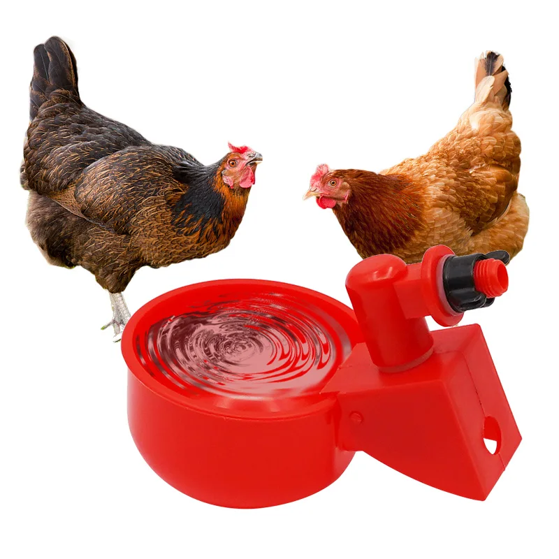 10 Pcs Automatic Chicken Drinker Bowl Drinking Cup Feeder Plastic Poultry Bowls for Chicks Duck Gooseturkey Water Feeding System