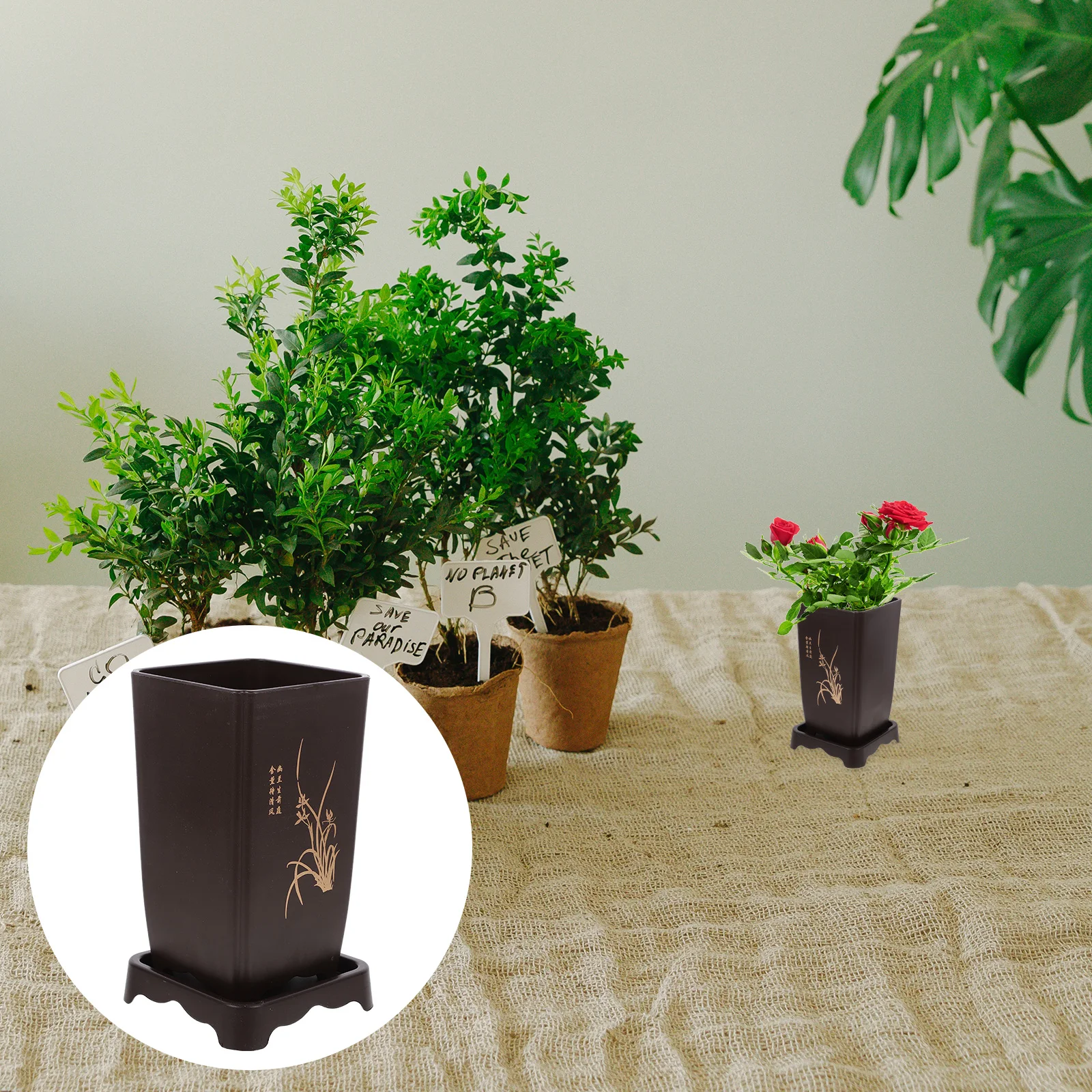 

Orchid Pot Deep High Thick Plastic Resin Flowerpot Breathable Design Perfect Size Orchids Plants Indoor Use Safe Durable Planter