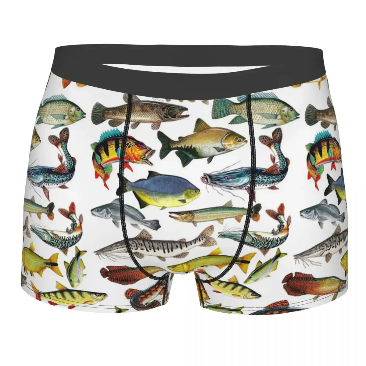 Various Colorful Tropical Fish Men's Boxer Briefs, Highly Breathable Underpants,High Quality 3D Print Shorts Birthday Gifts