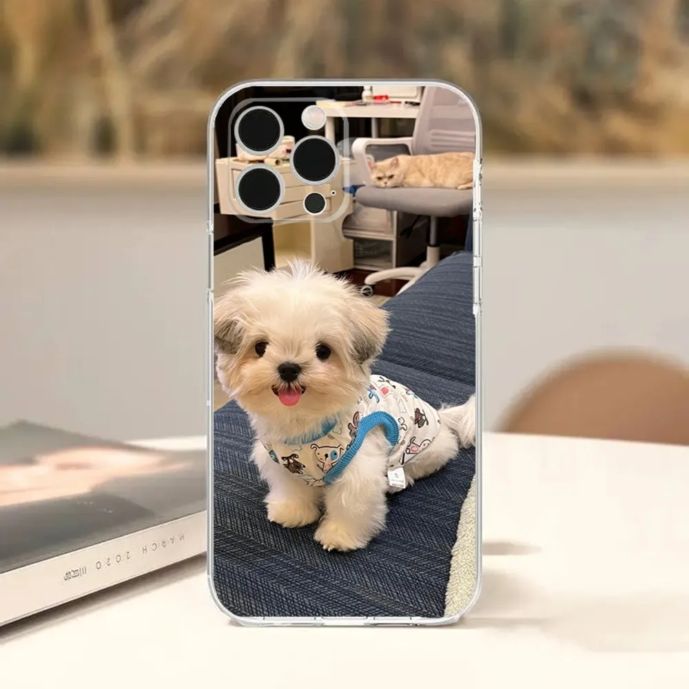 Cartoon cute Shih Tzu Dog Phone Case For iPhone Apple 15,14,13,12,Mini,11,Pro,Max,Plus,X,XR,XS,8,SE,2020,Plus Transparent Cover