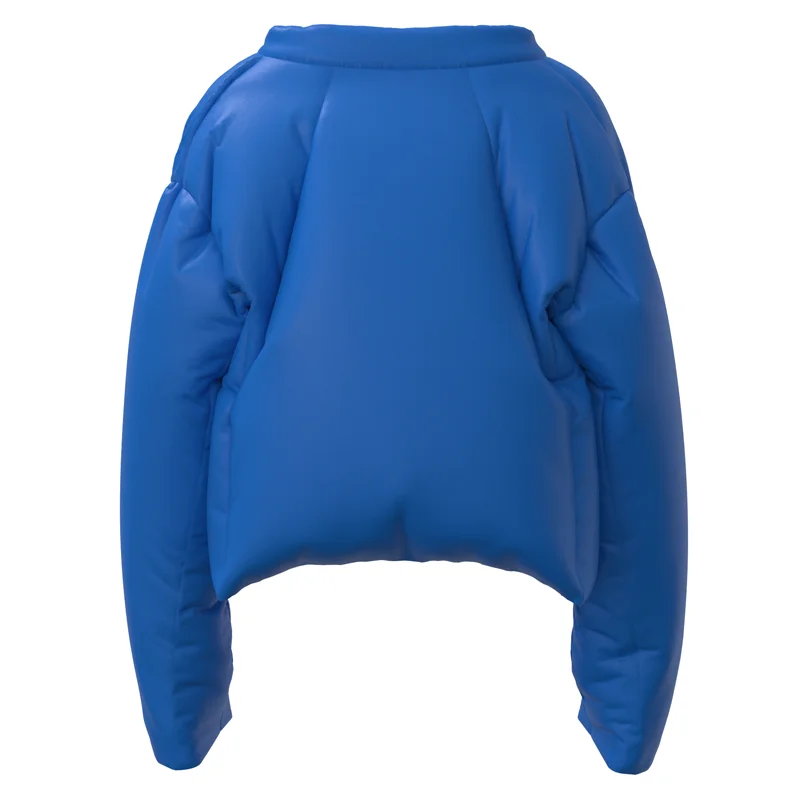 Winter Trend New Kanye West Down Jacket Rhine Blue Plastic Down Jacket Casual Short Bread Jacket Men High Street Pop Warm Coat