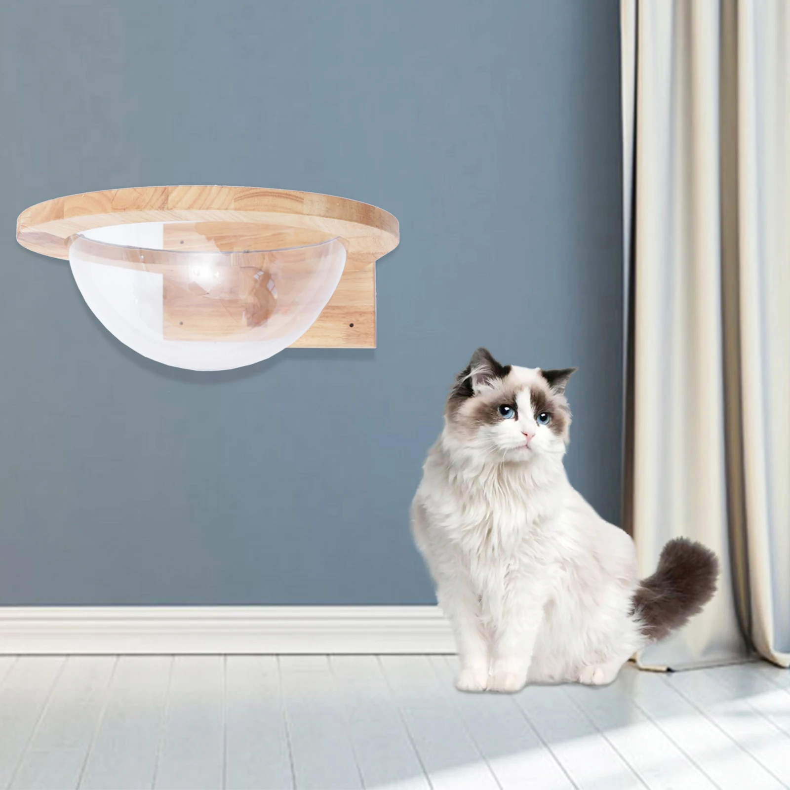 Cat Transparent Cover (Wall)