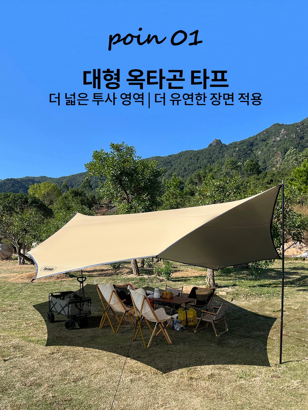 Thumbnail 2 - #40 Best Canopy Poles to Buy In 2026