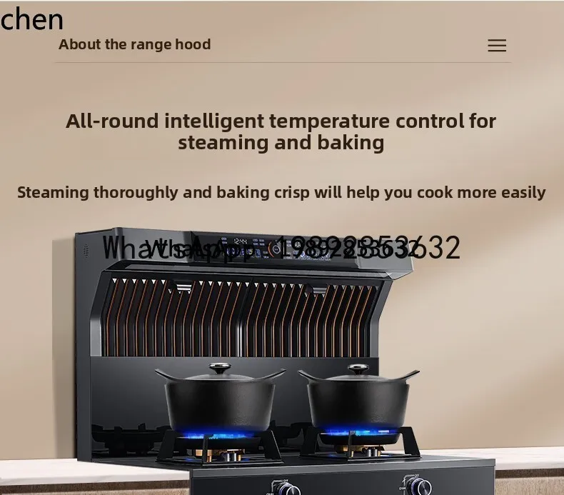 A1 household frequency conversion steam oven disinfection cabinet gas stove one electricity and one ceramic pure electricity