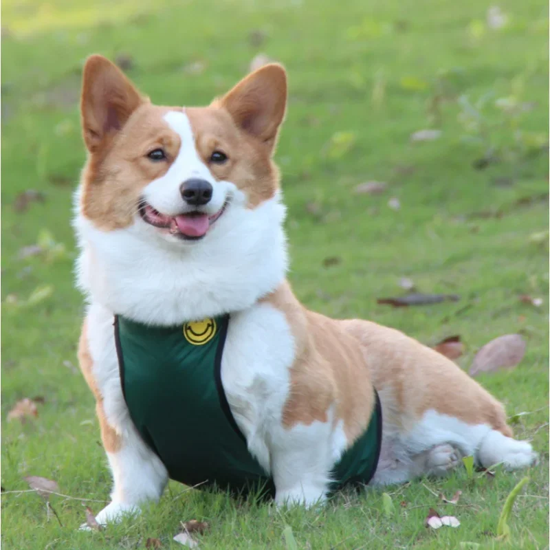 Corgi Dog Apron Water and Dirt Resistant Pet Clothes Outdoor Solid Color Pet Bib Small and Medium-Sized Dogs