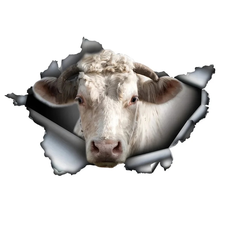 DK401# White Short-Horned Cow Car Stickers, Weather-Resistant Vinyl Stickers for Windows, Bumper Crafts - PVC Material Vehicle D