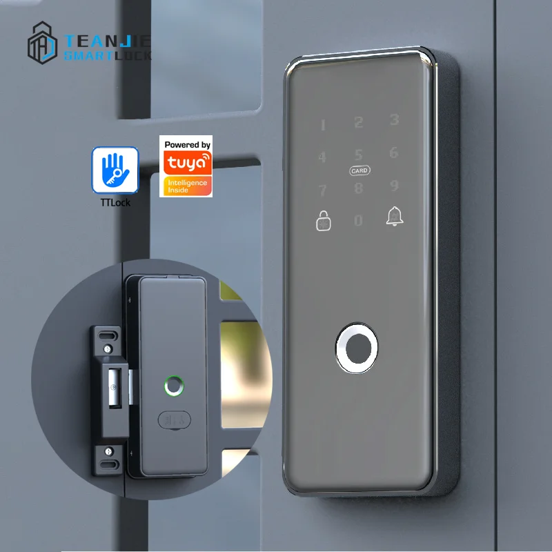 

Singapore Tuya/TTLock Remote Control Double Fingerprint Biometric Iron Door Lock Digital Electronic Glass Door with WiFi Network