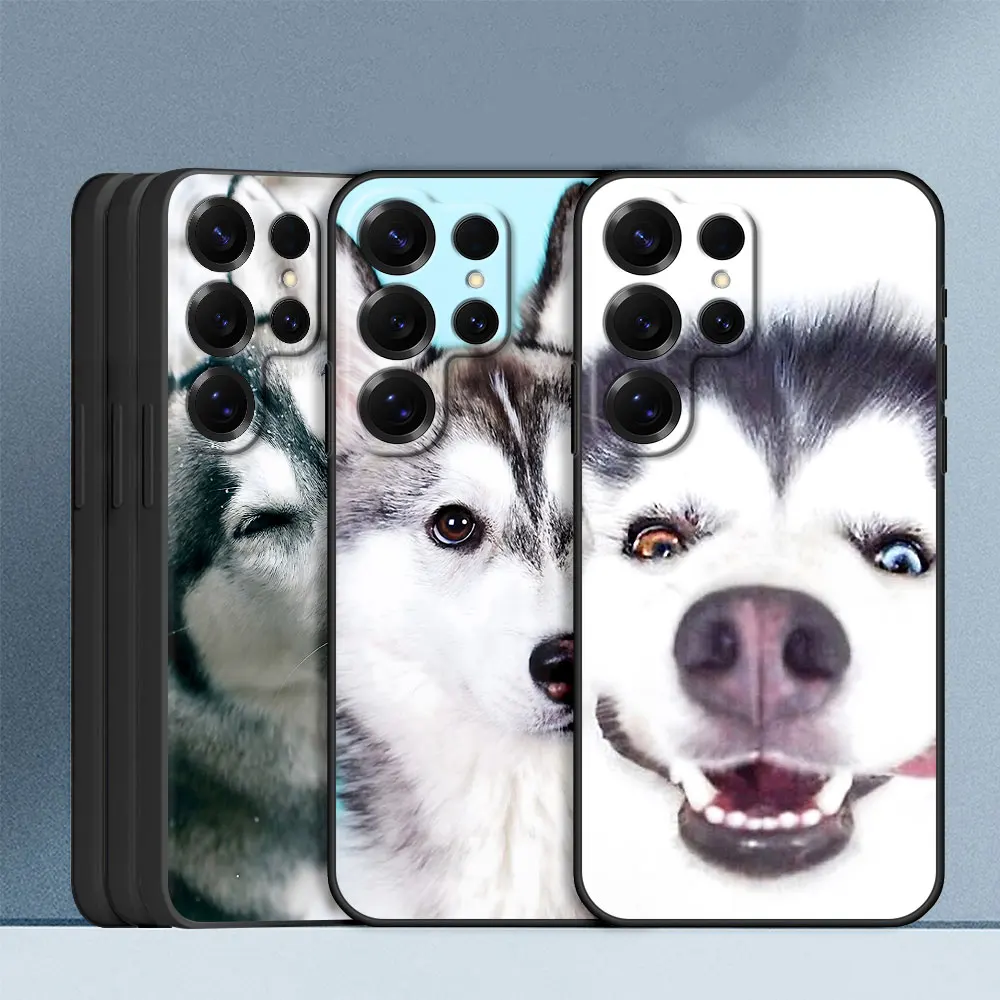 Custodia per cucciolo di animale Husky per Samsung Galaxy Note 20 Ultra 5G 10 Plus 9 Cover per telefono in TPU nero M12 J6 Plus J7 J8 J5 Prime
