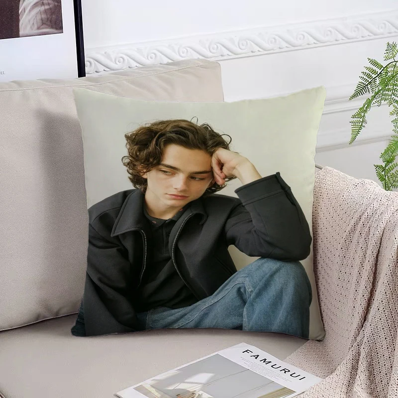 T-Timothée Chalamet Pillowcase 45*45 Decorative Pillow Cover for Living Room Cushions Pillowcases for Pillows 45x45 Home Decor