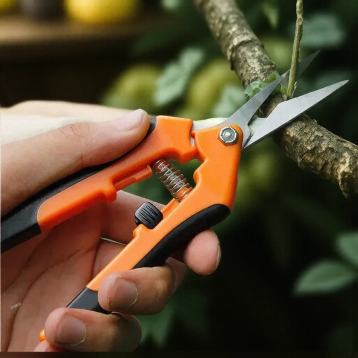 

Portable Garden Pruning Shears Fruit Picking Scissors Household Potted Trim Branches Small Gardening Tools Stainless Steel