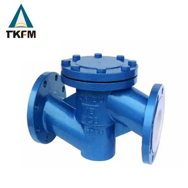 TKFM DN100 wcb material lift check valve for steam valve check symbol