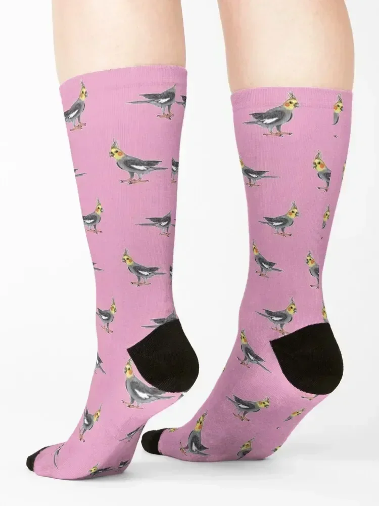 Cockatiel bird Socks football gifts Christmas basketball Man Socks Women's