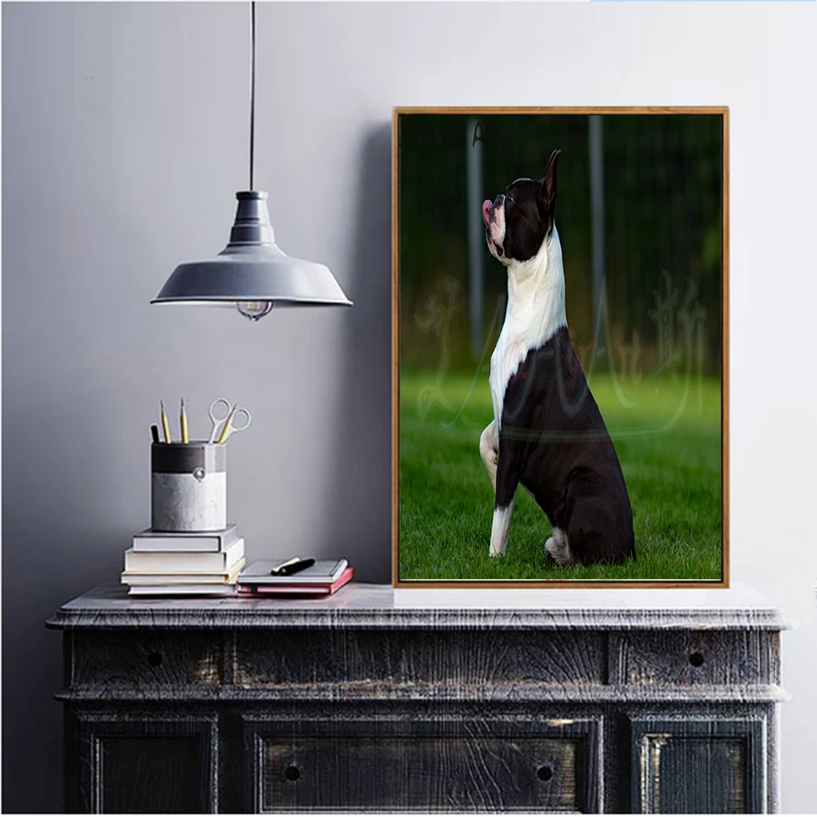 Cute Boston Terrier Full Square/Round Drill  5D DIY Diamond Painting Stitch Mosaic For Home Decoration Art Kit