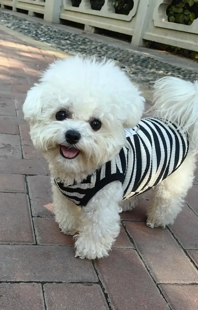 

For Skoda Kamiq All-Weather Car Covers 6-in-1 Waterproof Dustproof UV Proof Snowproof Scratch Resistant Protection