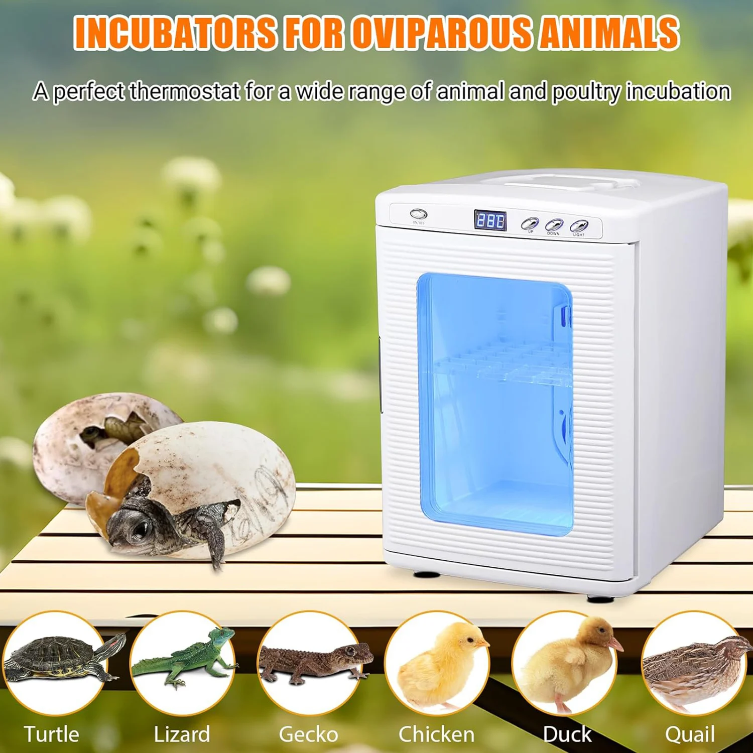 25 L Laboratory Incubator, Portable Reptile Science Laboratory Incubator, Temperature Controlled 10°C-60°C, for Small Reptiles