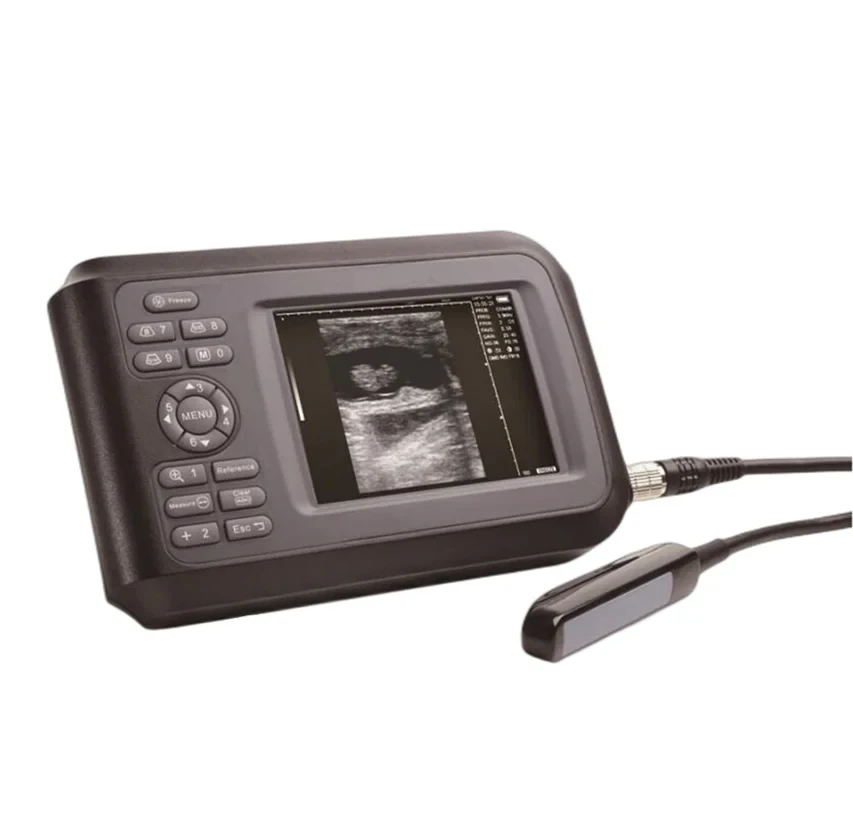 

Cheap Price Mini Veterinary Ultrasound Scanner/ Dog Sheep Cow Horse Test Ultrasound on Sale V6