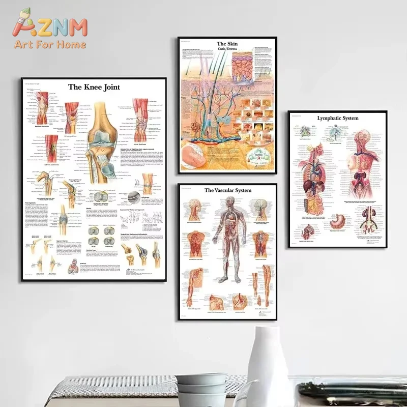 The Body Structure Skeleton Wall Art Nervous System Anatomy Canvas Picture Education Poster Medical Decoracion Painting Prints