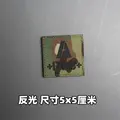 Reflective patch 21