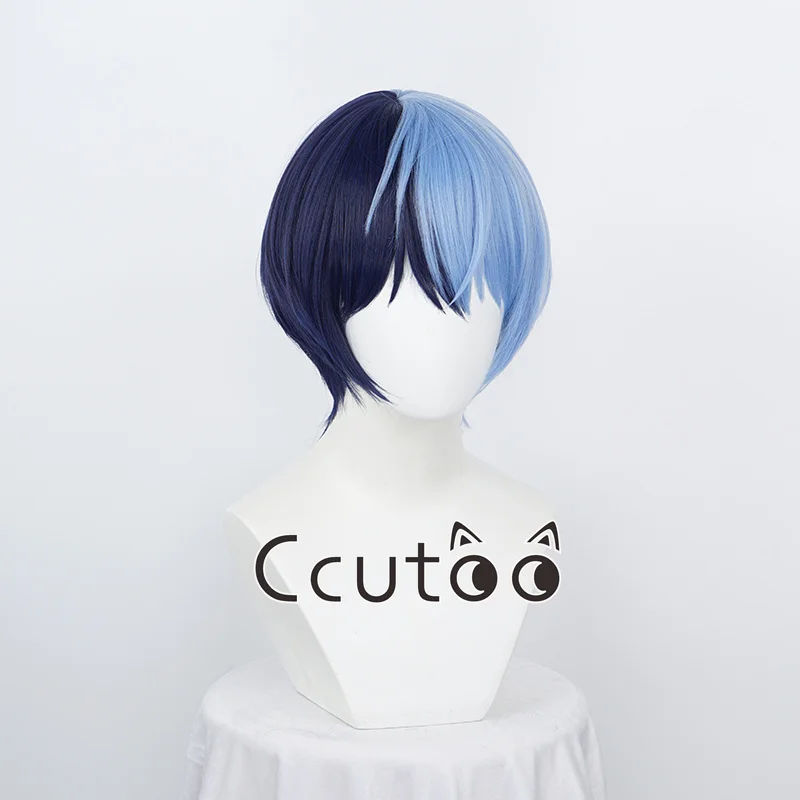 Project Sekai Colorful Stage Aoyagi Toya Cosplay Wig Blue Black Mxied Blue Wig Cosplay Anime Wigs Heat Resistant Synthetic Wig