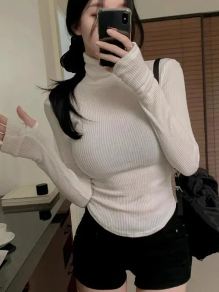 2025 nuevo jersey de cuello alto, blusas tejidas para mujer, jersey de moda para mujer, jersey térmico de primavera a rayas, camisetas básicas de manga larga cálidas