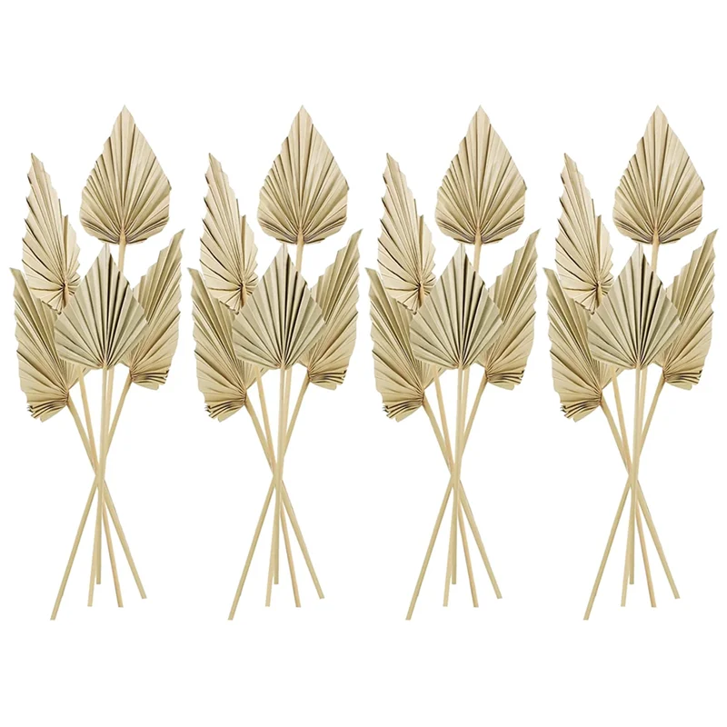 

20Pcs Boho Dried Palm Spears Leaves , Small Dried Real Palm Fans, Dried Palm Leaves with Stem Dried Leaf Decor Vase