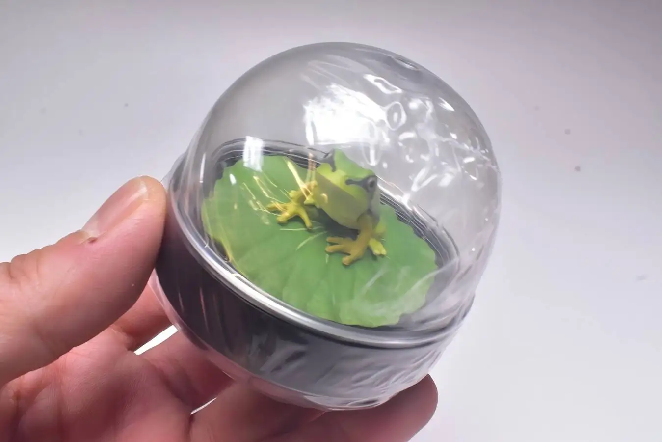 Giocattoli in capsula Origina Fabbrica di cupole d'acqua Rana dell'albero giapponese su foglie di otus trasparenti scintillanti fiocchi di globo di neve figure ornamentali